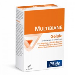 Pileje Multibiane 30 gélules