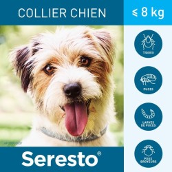 Seresto Collier anti-puces et anti-tiques pour petit chien de moins de 8kg 