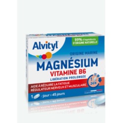 Alvityl Magnésium Vitamine B6 Libération prolongée lot de 2x45 comprimés