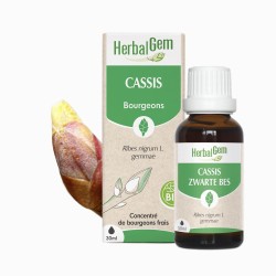 HerbalGem Cassis Bio 30 ml