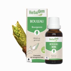 HerbalGem Bouleau Bio 30 ml