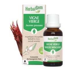HerbalGem Vigne vierge Bio 30 ml