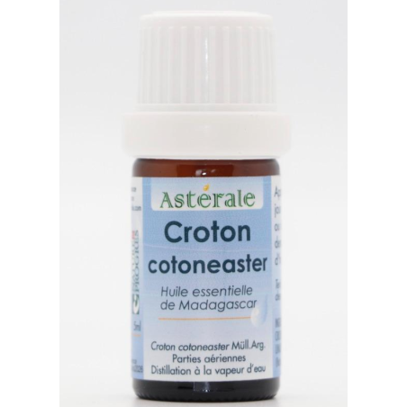 Astérale Huile Essentielle Croton Cotoneaster 5ml