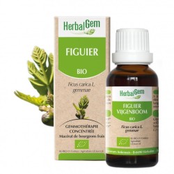 HerbalGem Figuier Bio 30 ml 