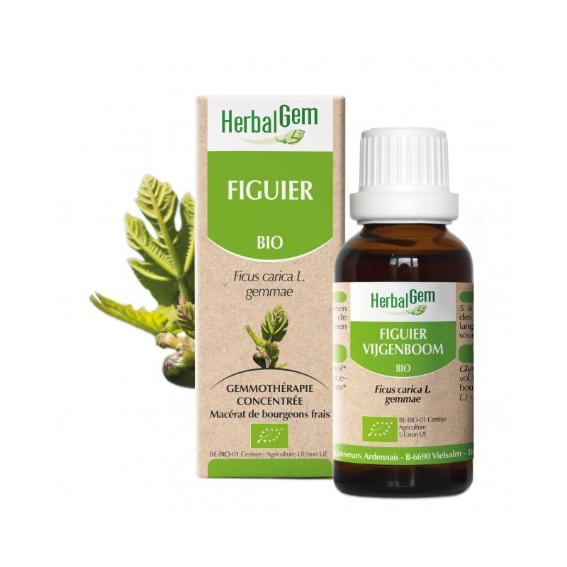 HerbalGem Figuier Bio 30 ml 